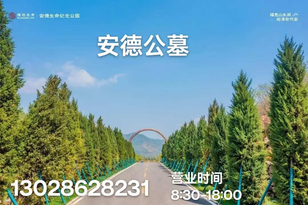 首页简介图片